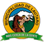 Lautaro SAESA logo