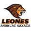 Anahuac Queretaro logo