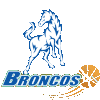 Hume City Broncos Women logo - Big V Womens League Hume City Broncos Women Vs Bellarine Storm Women Live Basketball