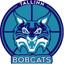 1182 Tallinn (W) logo