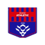 Duzce Atletik Women logo