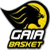 BC Gaia logo - Portugal Nacional A Vasco Da Gama Vs Bc Gaia Schedule