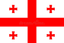 Georgia logo