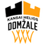 Helios Domzale logo