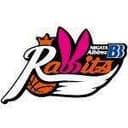 BB Albirex Niigata Rabbits Women logo - Japan Wjbl Bb Albirex Niigata Rabbits Women Vs Himeji Egrets Women Basketball Live Score