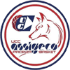 Visa Piacenza logo - Serie B Basket Visa Piacenza Vs Faenza Sport