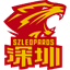 Shenzhen Leopards B logo