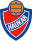 Haukar logo