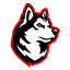 Northeastern logo