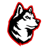 Northeastern logo