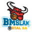 Stal Ostrow Wielkopolski logo