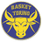 PMS Torino logo