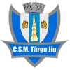 ACS Targu Jiu logo - Lnbm Acs Targu Jiu Vs Municipal Galati Basketball