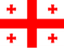 Georgia Women logo