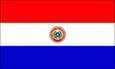 Paraguay Women logo - South American Wsabc Chile Women Vs Paraguay Women Results