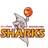 Southland Sharks logo