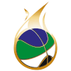 Puerto Montt women logo - Chile Wlnb Universidad Concepcion Women Vs Puerto Montt Women Basketball Result