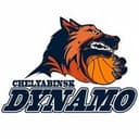 Chelbasket Chelyabinsk logo - Russia Rsl Chelbasket Chelyabinsk Vs Cheboksary Hawks Sport