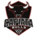 Capiata Bulls logo - Paraguay Primera Capiata Bulls Vs San Alfonso Live