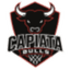 Capiata Bulls logo