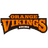 Ehime Orange Vikings logo