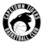 Cape Town Tigers logo