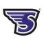 Stonehill College	 logo