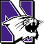 Northwestern logo