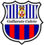 Gallarate u19 logo
