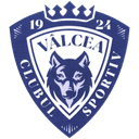 Valcea logo - Live Lnbm Petrolul Ploiesti Vs Valcea