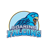 ADU Falcons Women logo - Philippines Wuaap Up Maroons Women Vs Adu Falcons Women Sport