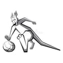 Lady Jills Women logo - Uganda Dw Amazon Rhinos Women Vs Lady Jills Women Scores