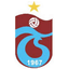 Medical Park Trabzonspor logo