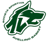 avellino basket logo