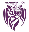 PHOENIX-MT Fot logo