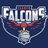 Falcons Zagreb (W) logo