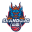 Shandong Hi-Speed Women logo