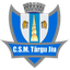 ACS Targu Jiu logo