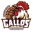 ROSTER GALLOS logo