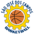 Basket Sao Jose logo - Osasco Basket Scores