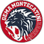 Gema Montecatini logo