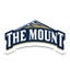 Mt. St. Mary's Women logo