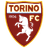 Torino U19 logo
