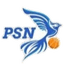 PSN W logo