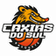 Caxias do Sul logo