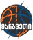 Mega Basket Tbilisi logo