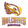 Halcones Xalapa logo - Lnbp Halcones Xalapa Vs Fuerza Regia Schedule