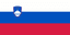 Slovenia Women logo