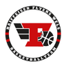 Raiffeisen Flyers Wels logo