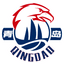 Qingdao Eagles logo